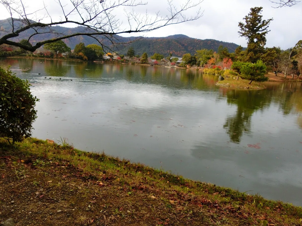 画像56