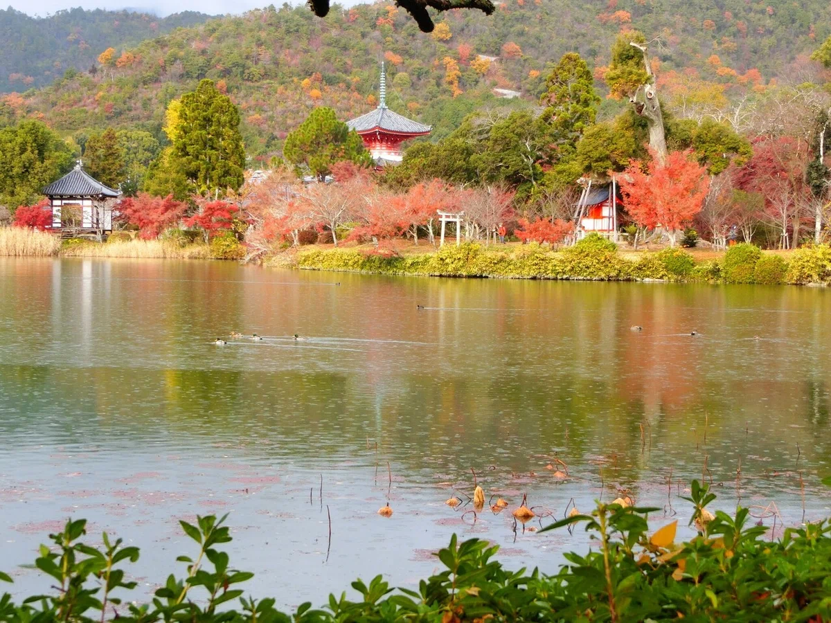 画像57