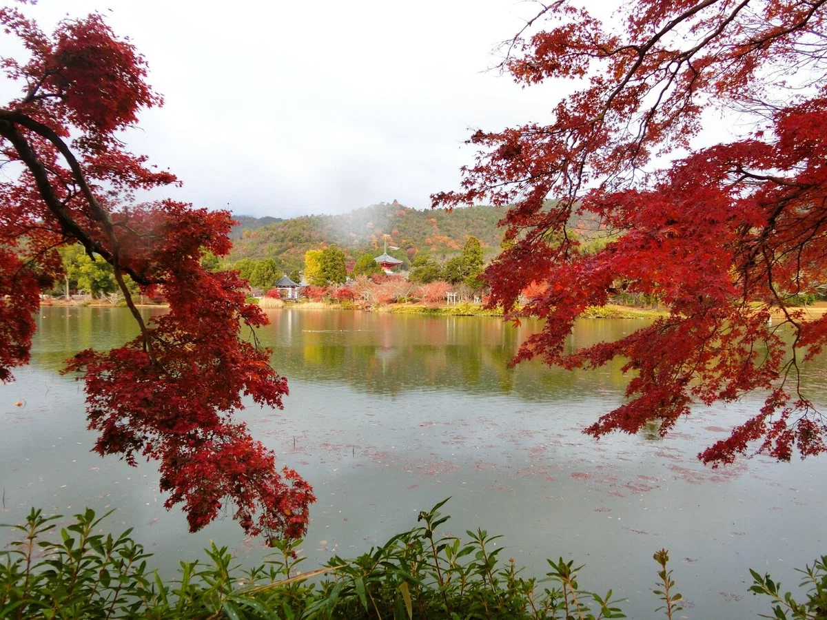 画像58