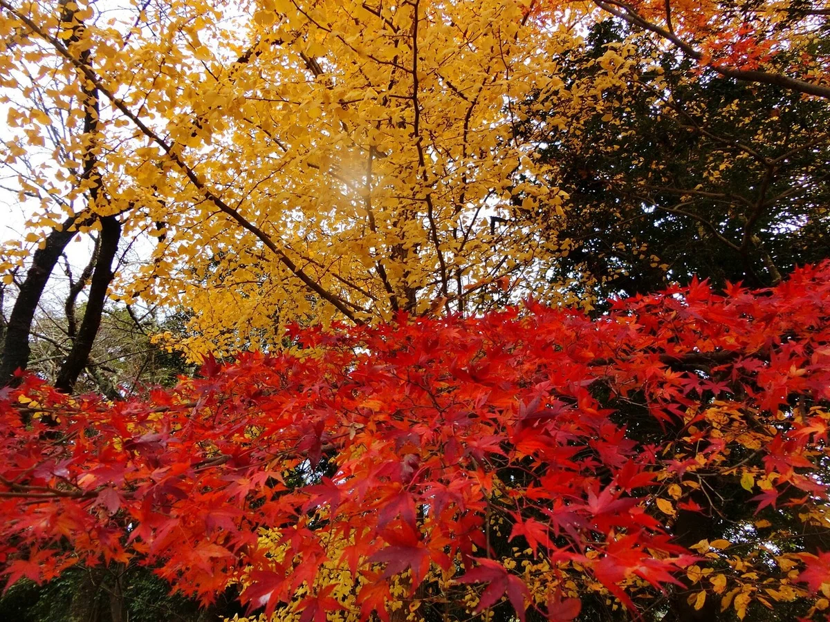 画像60