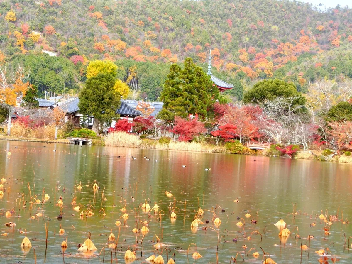 画像66