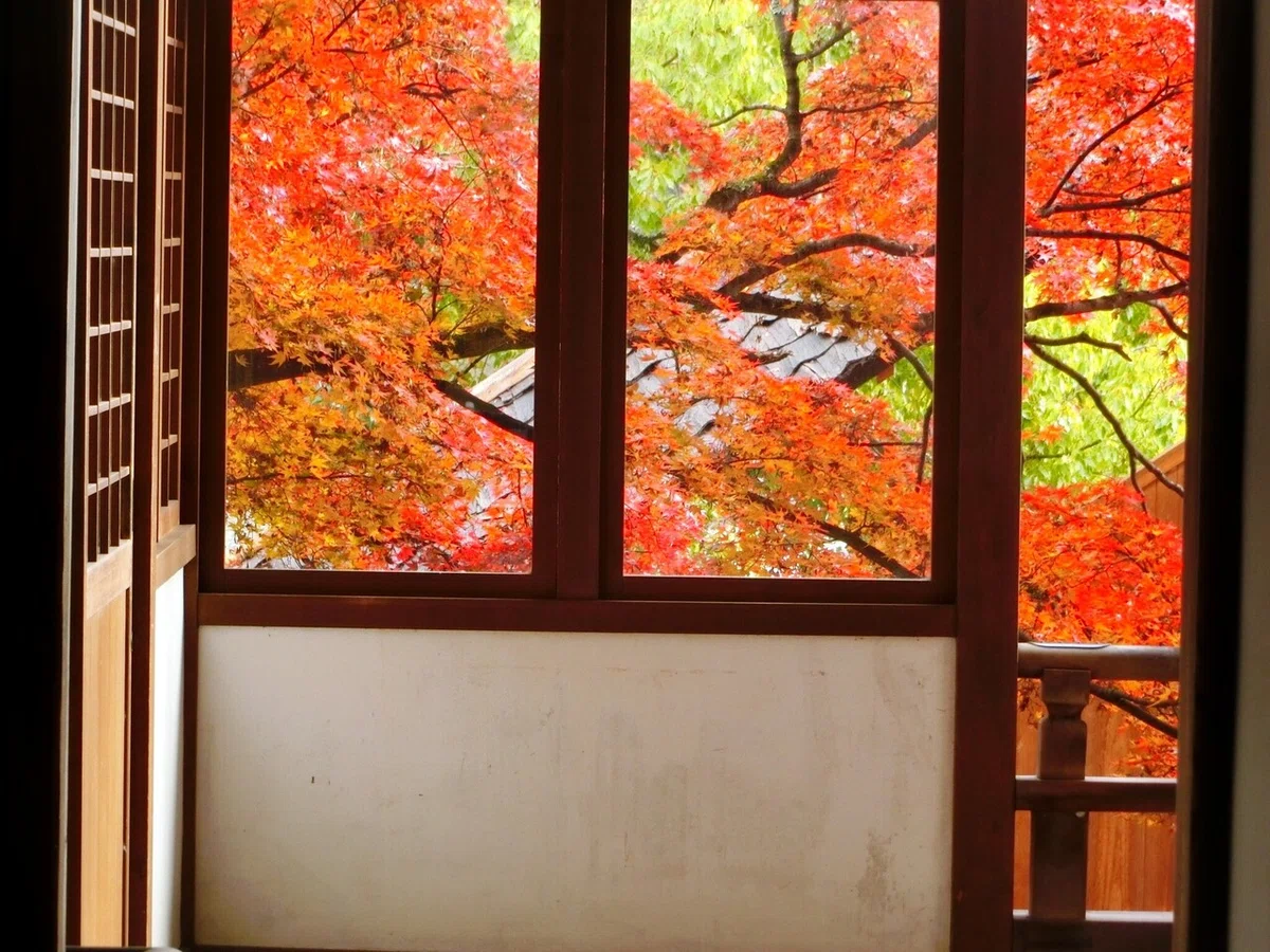 画像78