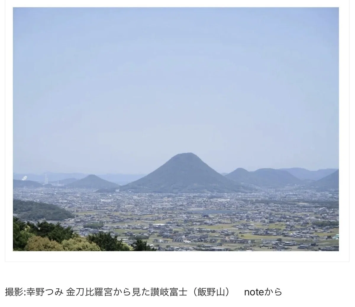 画像14