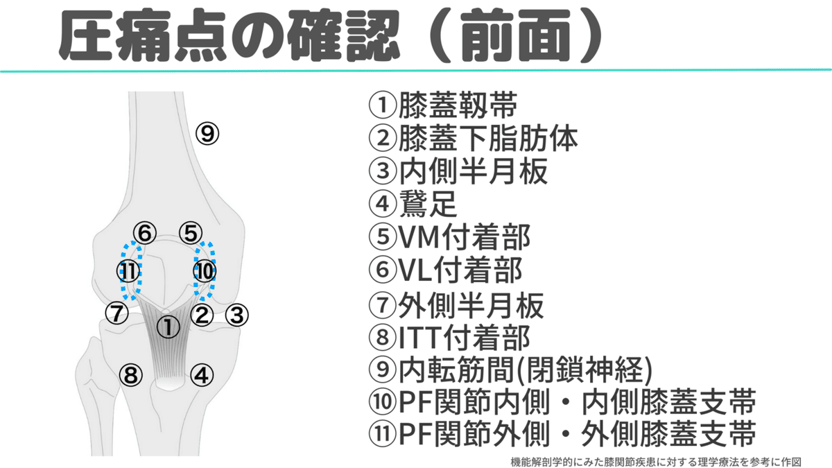 膝関節機能改善のキーワードと評価・介入｜樋口 翔太