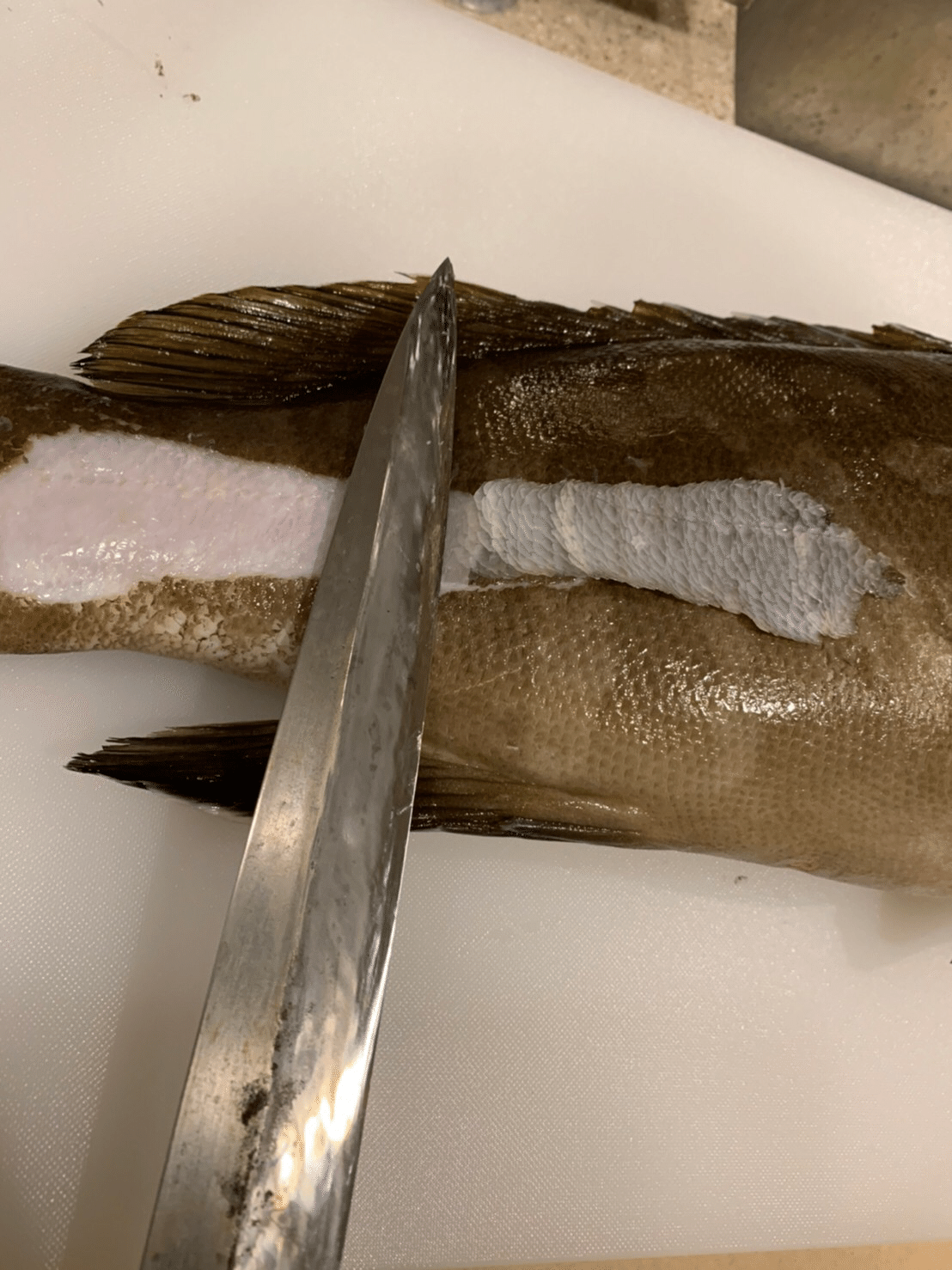 夢にまでみた頭料理 クエをまるごと食べた会 もったいない料理人 みっきー Note