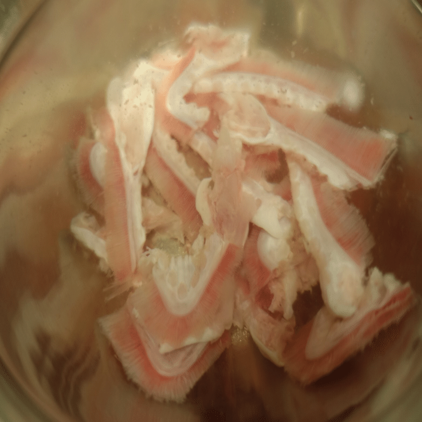 夢にまでみた頭料理 クエをまるごと食べた会 マツダミキヲ 料理人 Note