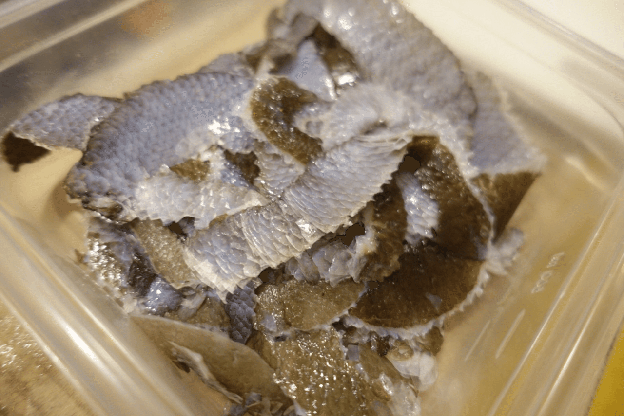 夢にまでみた頭料理 クエをまるごと食べた会 マツダミキヲ 料理人 Note 夢にまでみた頭料理 クエをまるごと食べた会 マツダミキヲ 料理人 Note