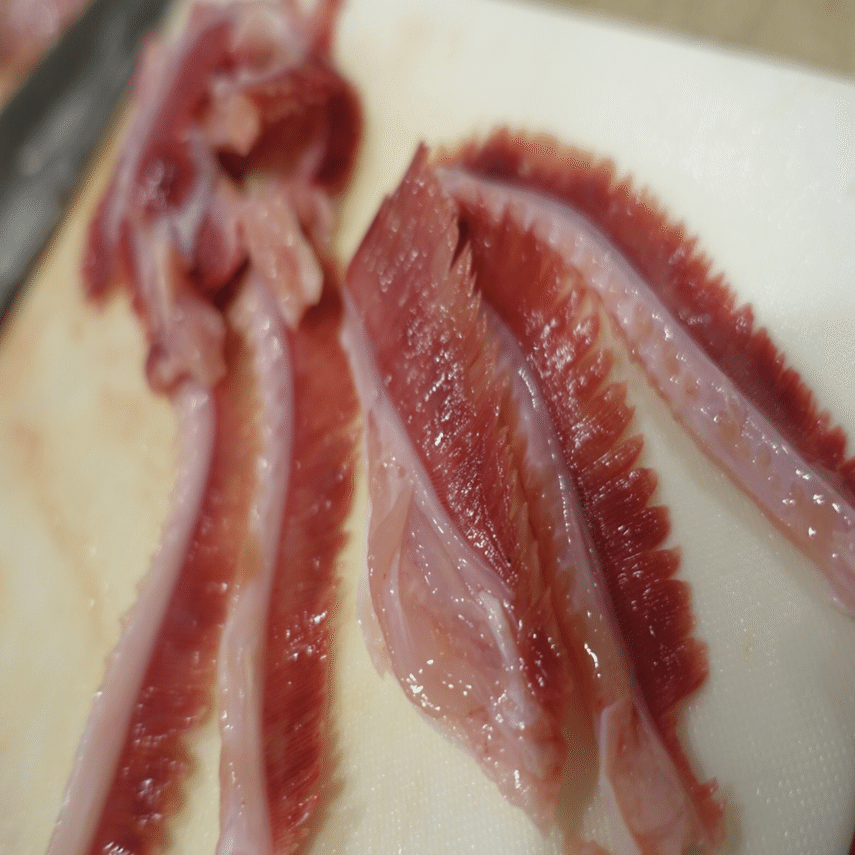 夢にまでみた頭料理 クエをまるごと食べた会 マツダミキヲ 料理人 Note