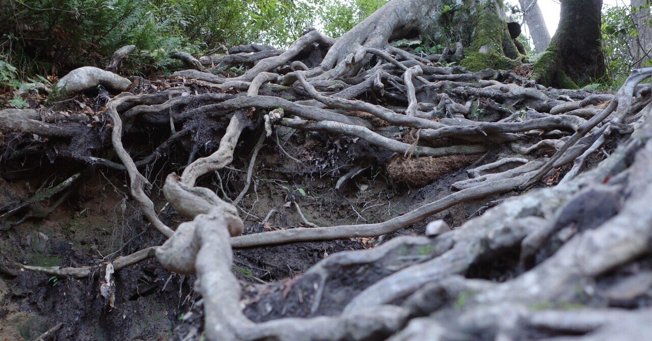 言葉と自然 桑原健一郎 Note