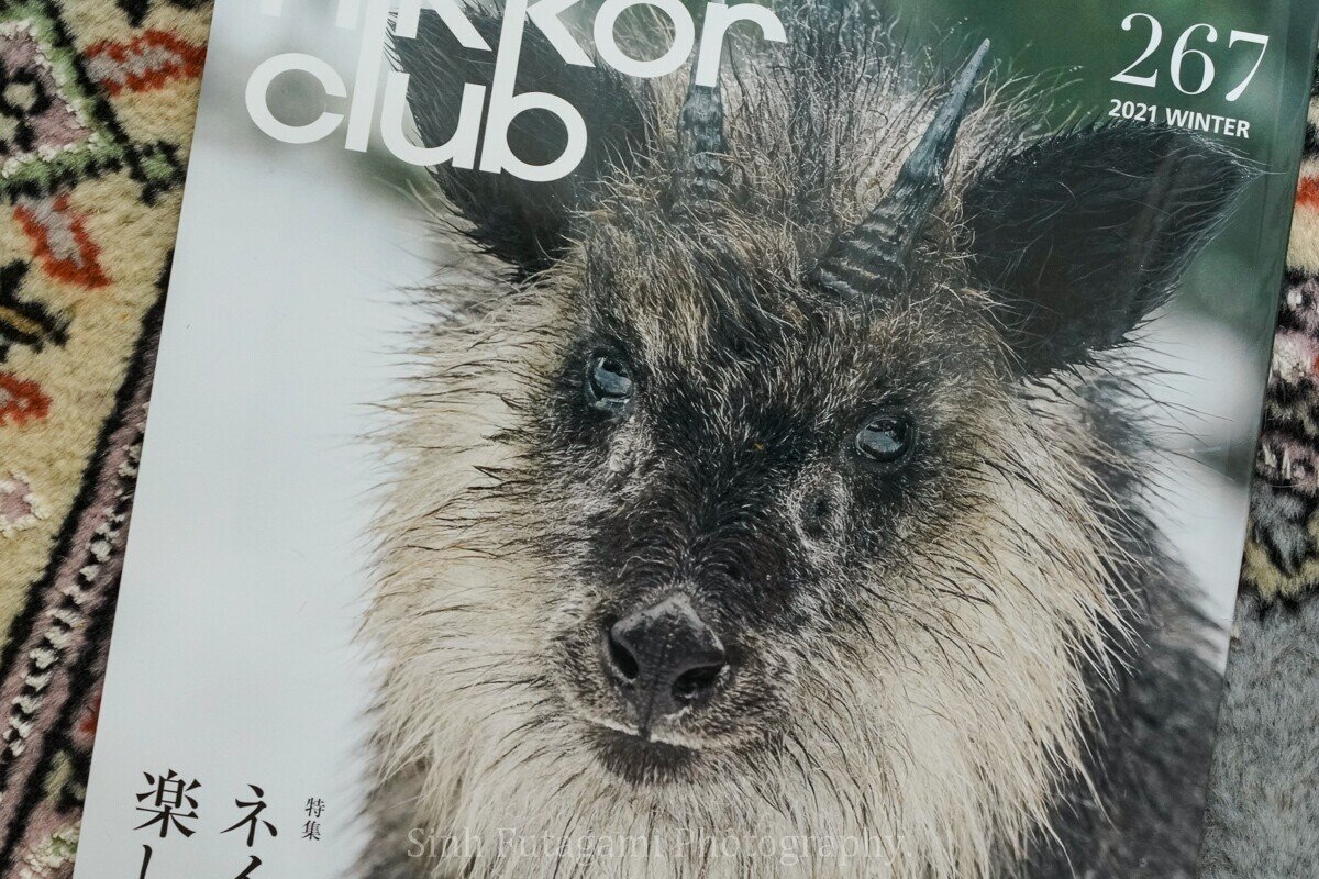 掲載 Nikkor Club会報誌 267号 Sinh Note 掲載 Nikkor Club会報誌 267号 Sinh Note