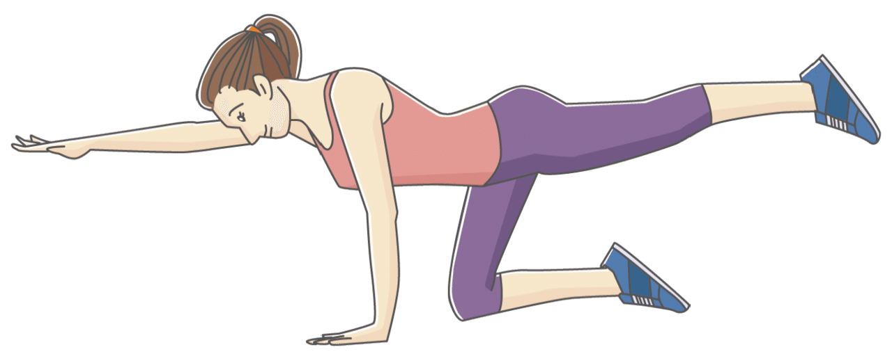 税込 ウエストシェイプや鍛えにくいインナーマッスルにも効果絶大 ❤８