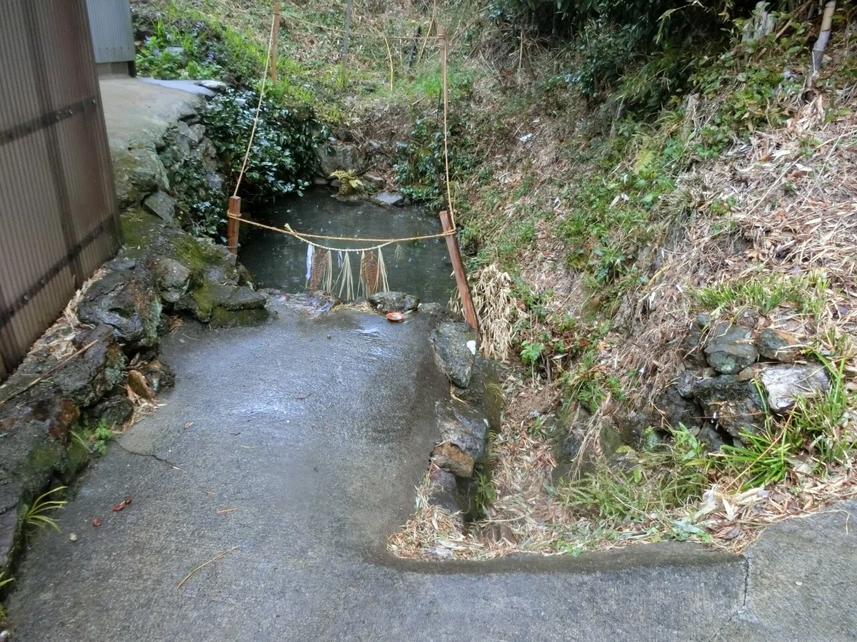 画像6