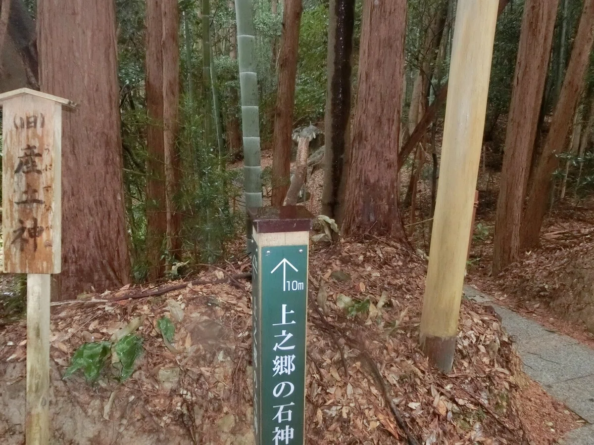 画像7
