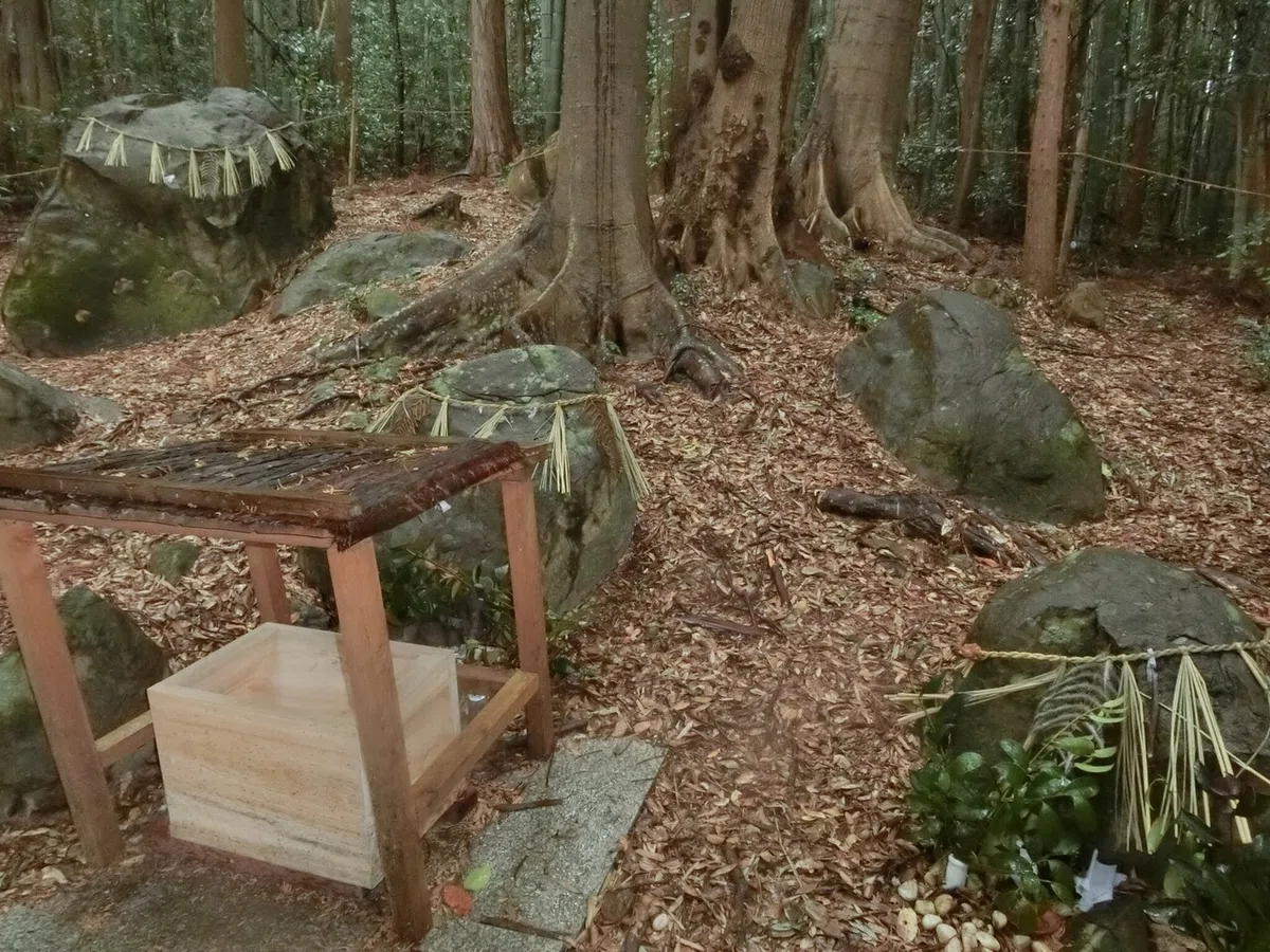 画像9