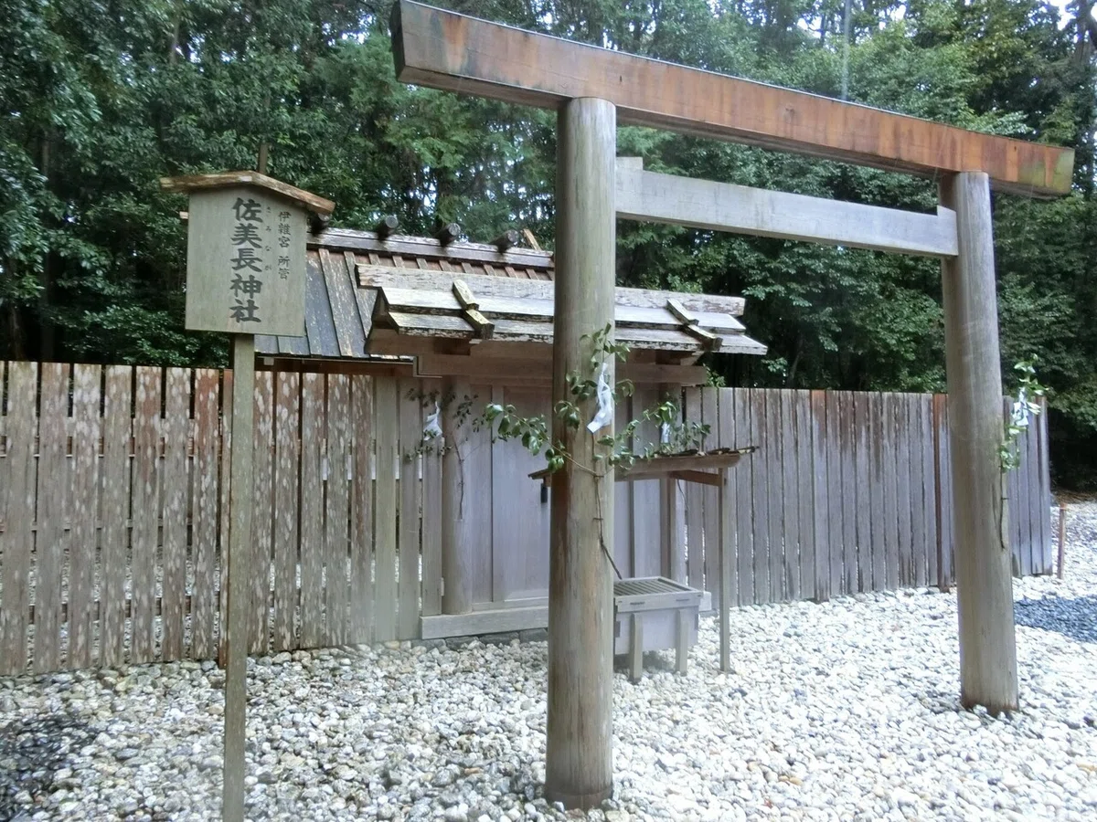 画像12