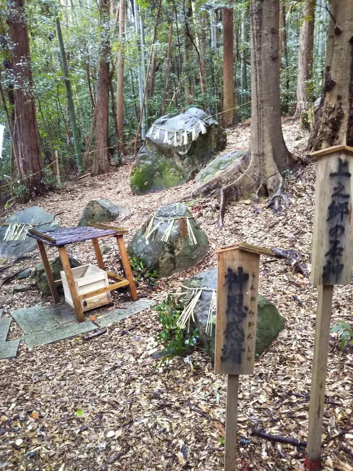 画像16