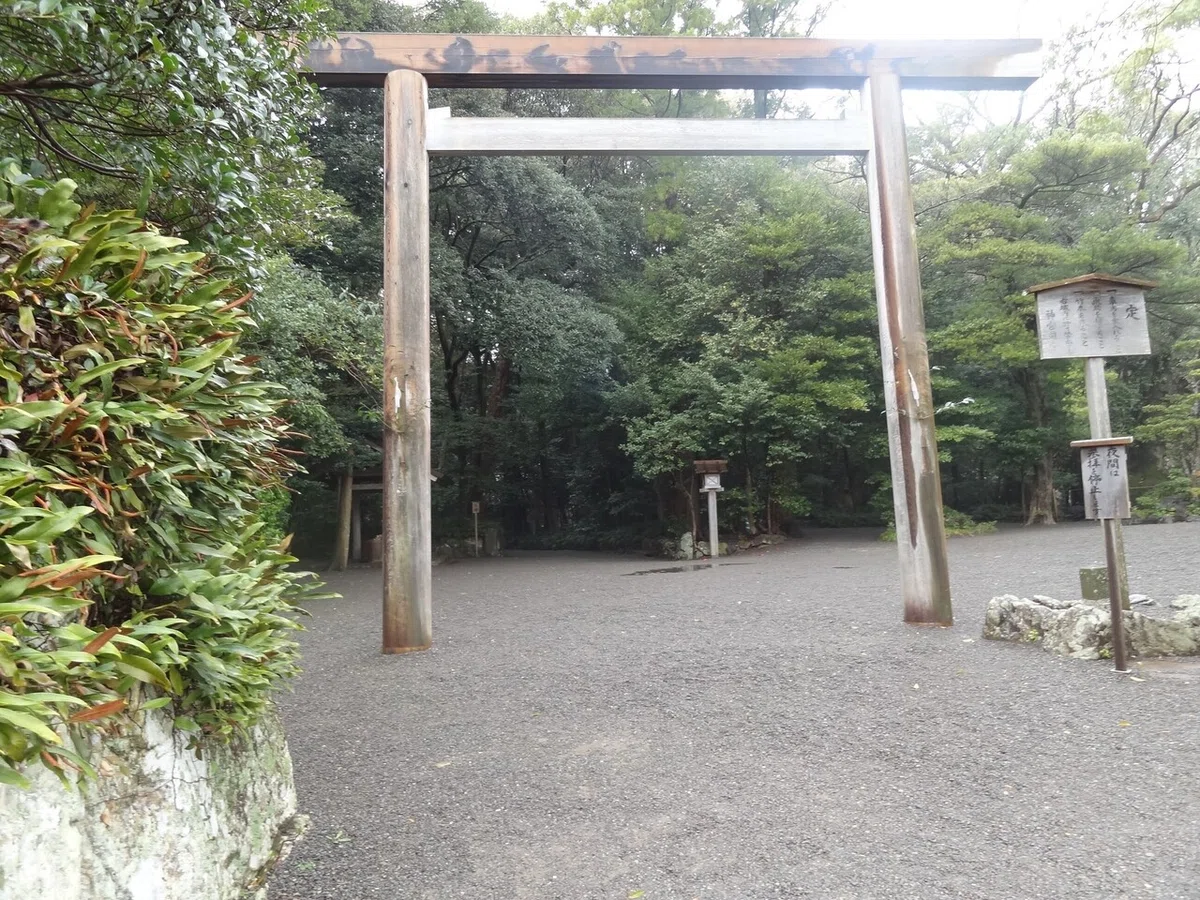 画像19