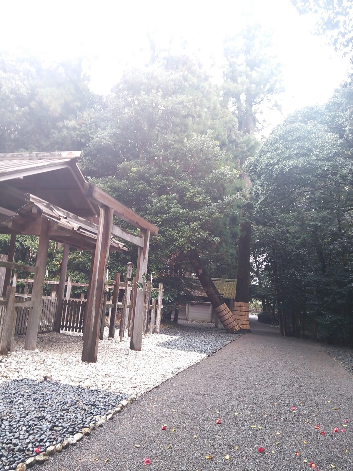 画像23