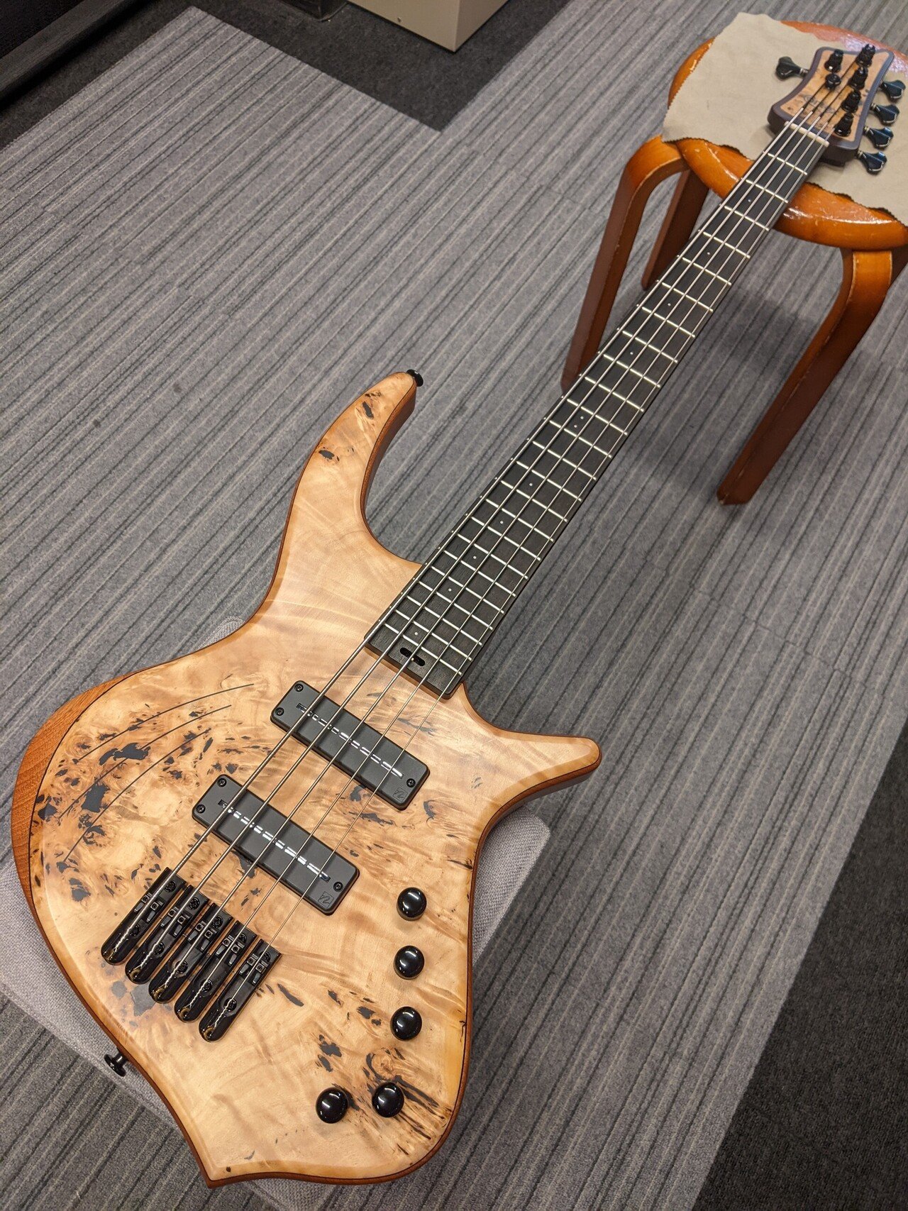 Cortex Bass”Napoleon Deluxe 5 -Poplar Burl Top-“について｜ベース