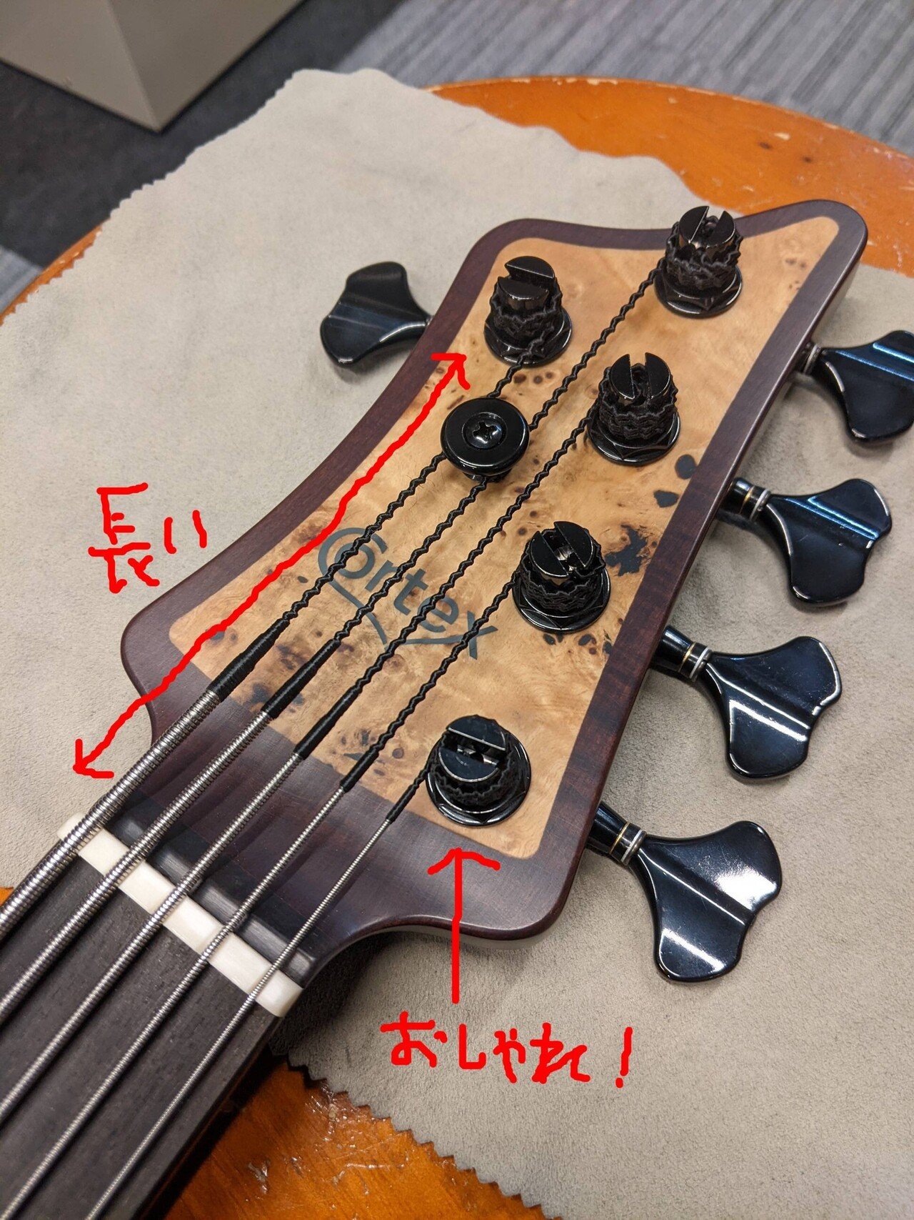 Cortex Bass”Napoleon Deluxe 5 -Poplar Burl Top-“について｜ベース