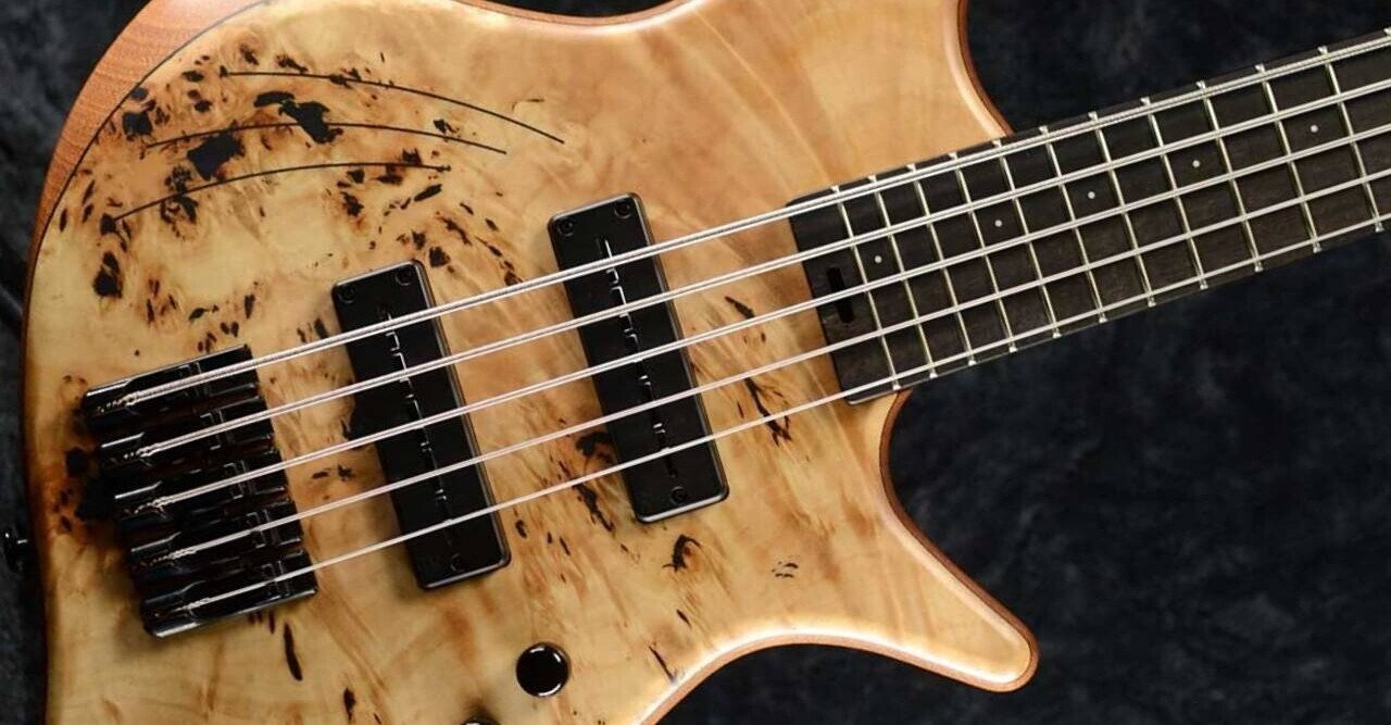 Cortex Bass”Napoleon Deluxe 5 -Poplar Burl Top-“について｜ベース
