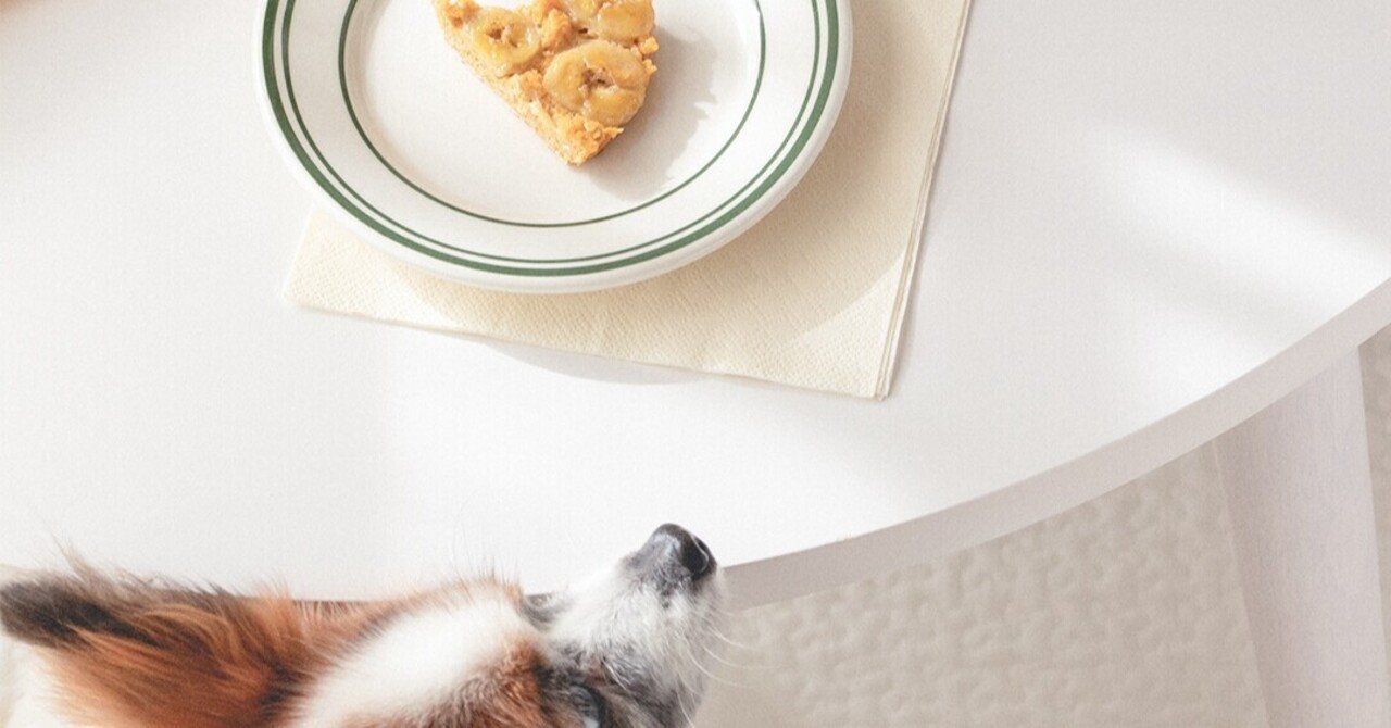 フライパンでok バナナとオートミールのアップサイドダウンケーキ 手作り犬おやつレシピ 単品購入 いちかわあやこ 犬ごはん先生 Note フライパンでok バナナとオートミールのアップサイドダウンケーキ 手作り犬おやつレシピ 単品購入 いちかわあやこ 犬ごはん先生 Note