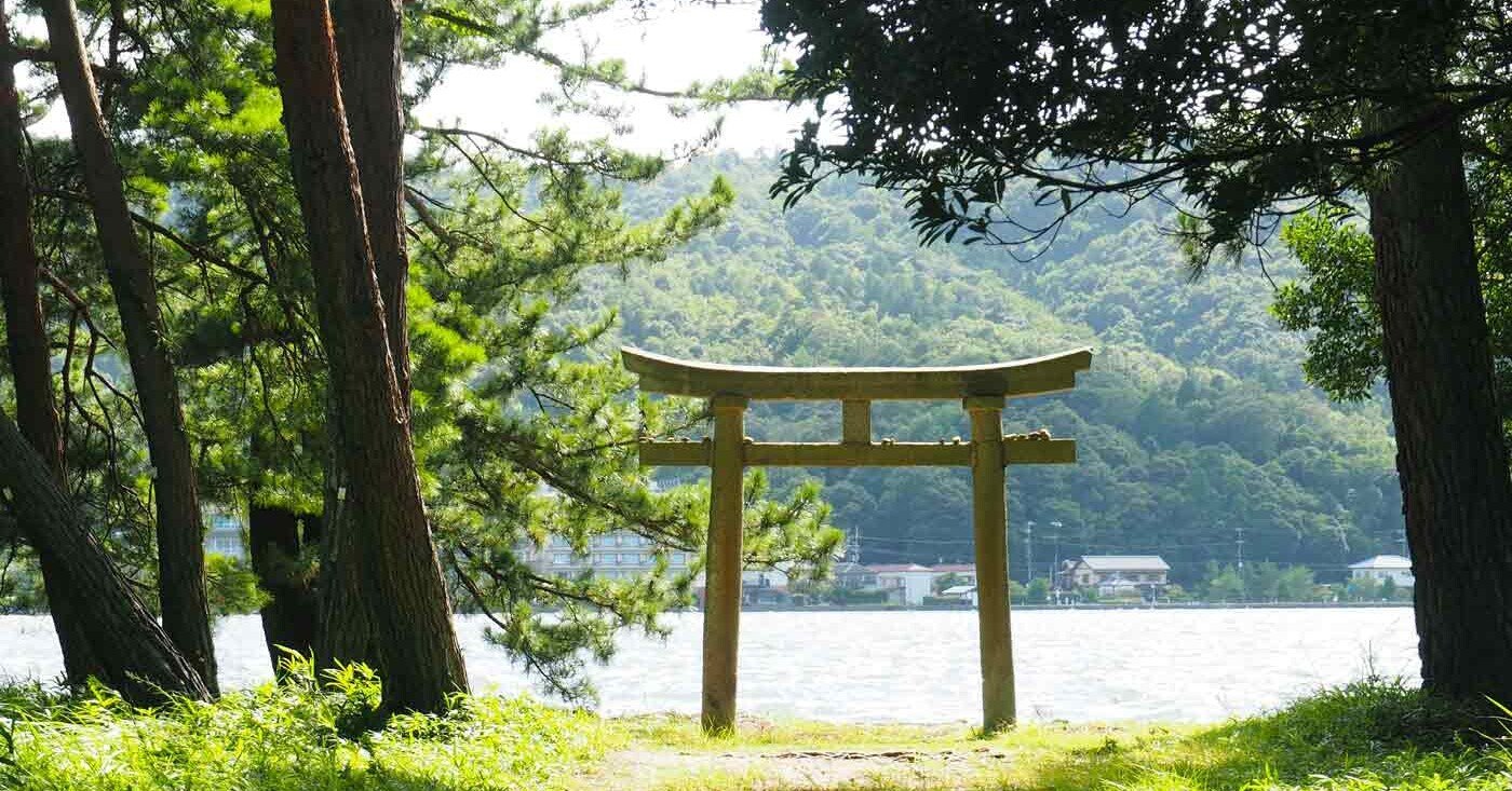 92571ed351ae998ea61b16e6a52384