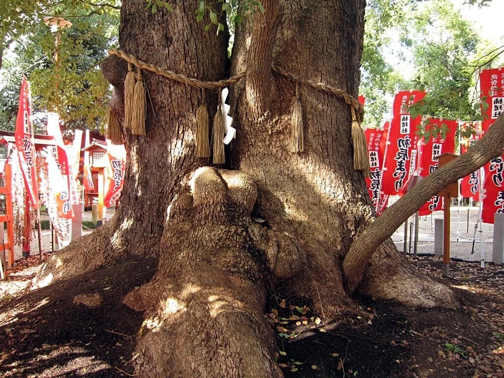 初辰参り