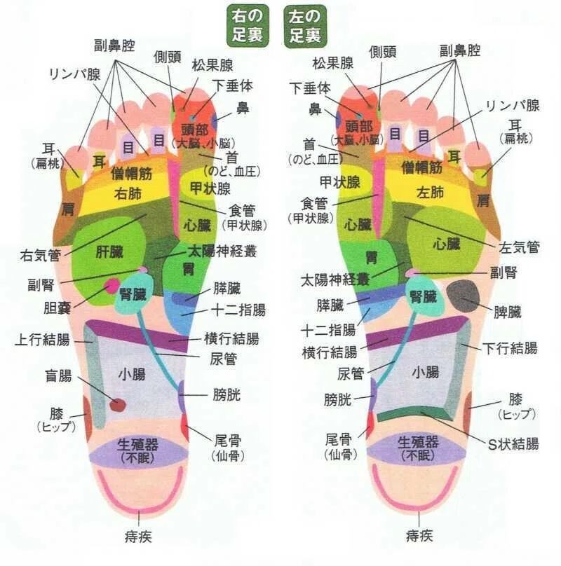 足ツボ1