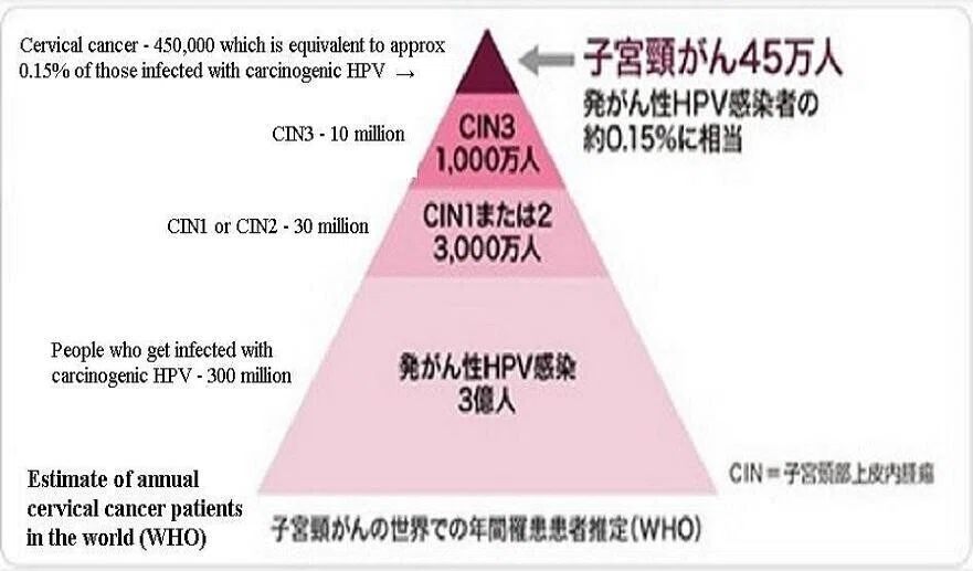 画像22