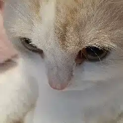 まる