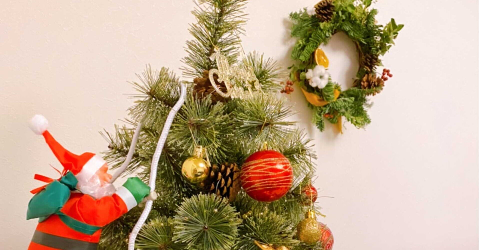 クリスマスリースを作ってみた｜山田