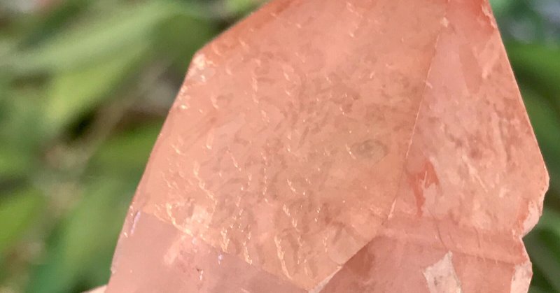 ディープピンク の新着タグ記事一覧 Note つくる つながる とどける