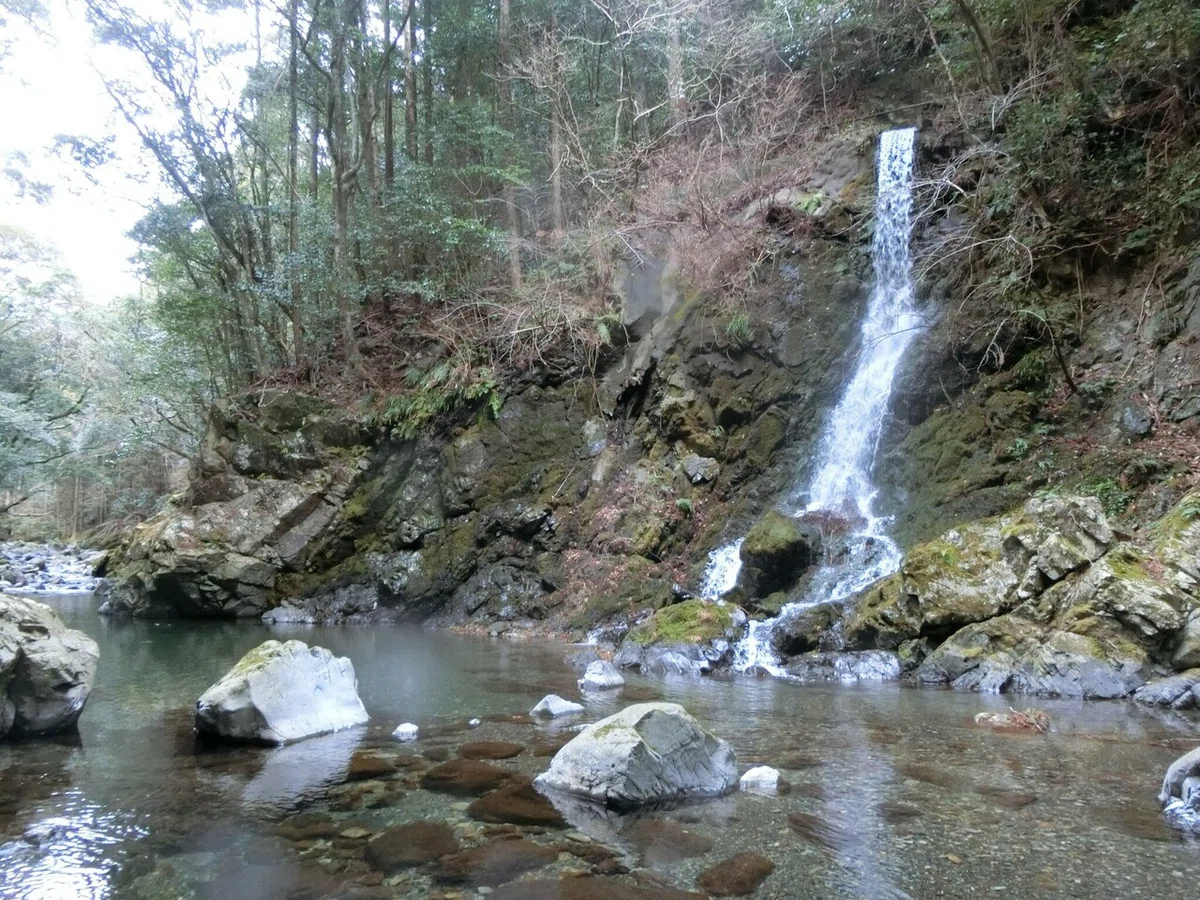 画像3