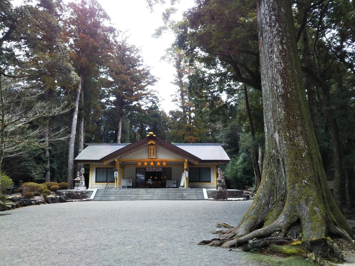 画像5
