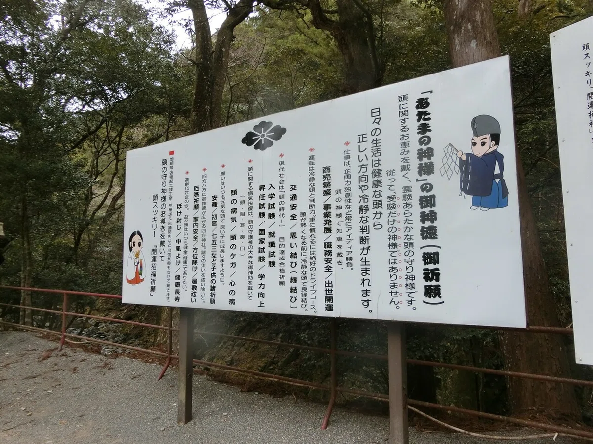 画像6