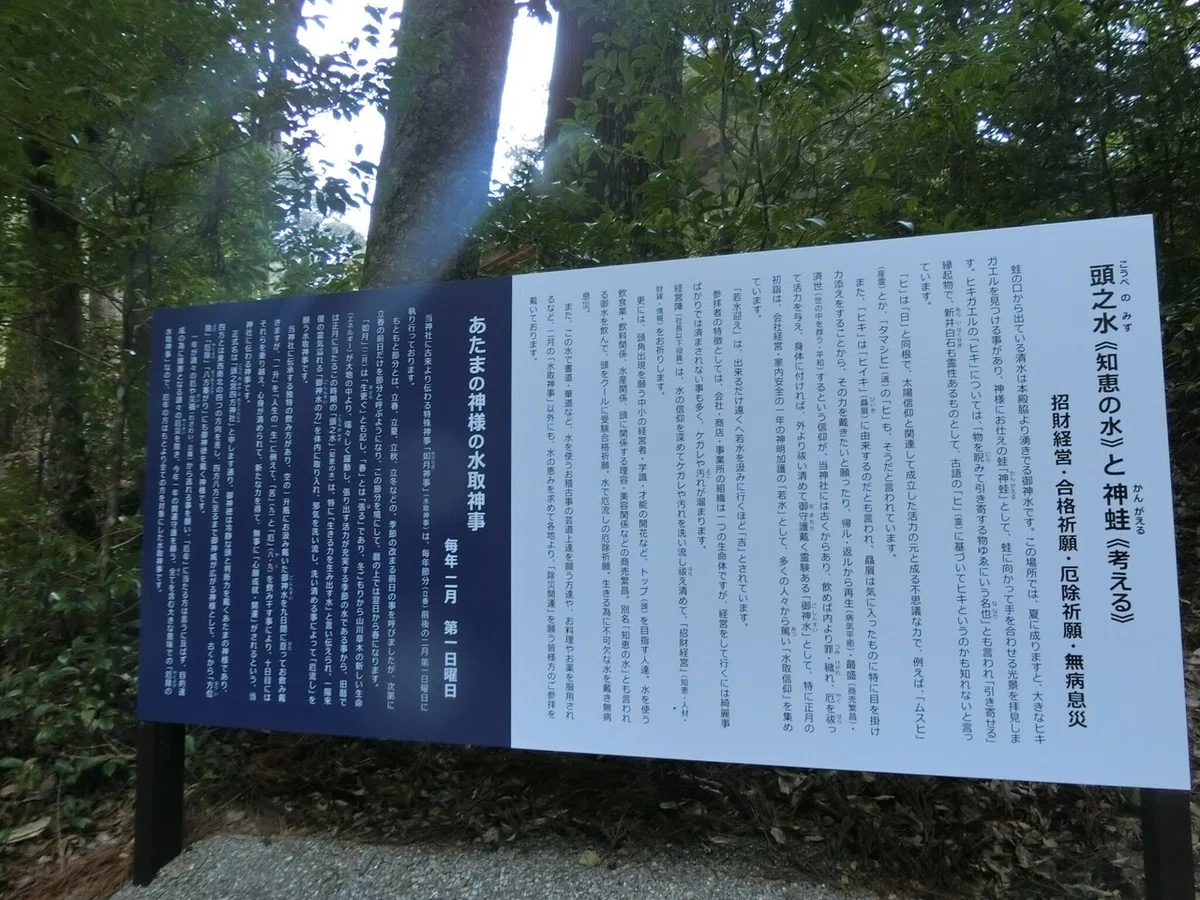 画像8