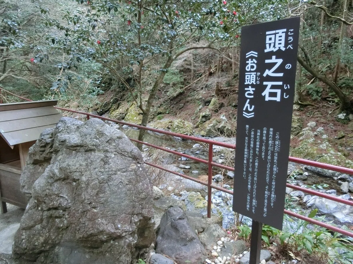 画像9