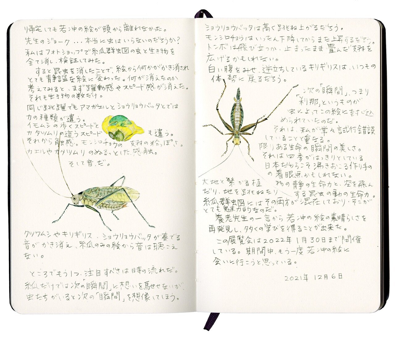 養老孟司×細見コレクション」で養老先生にお会いした｜工作舎