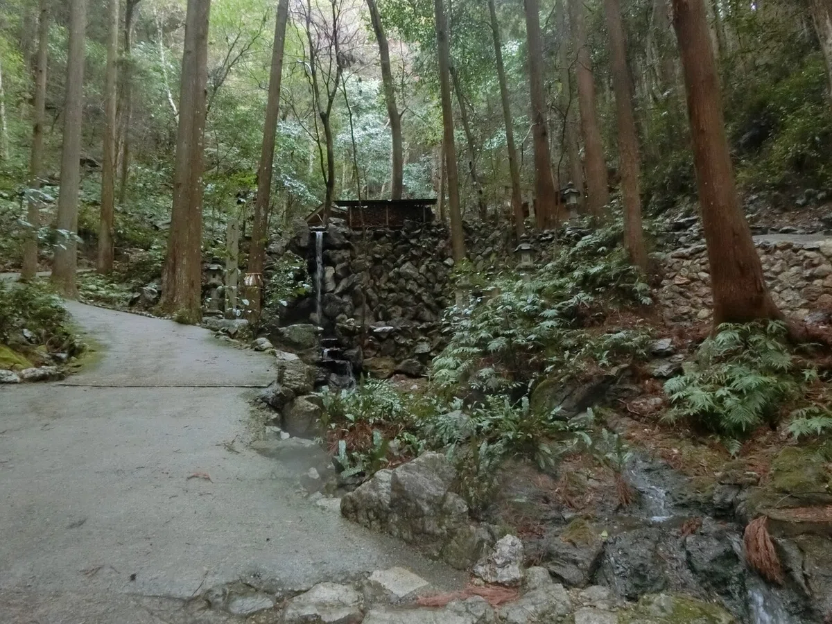 画像4