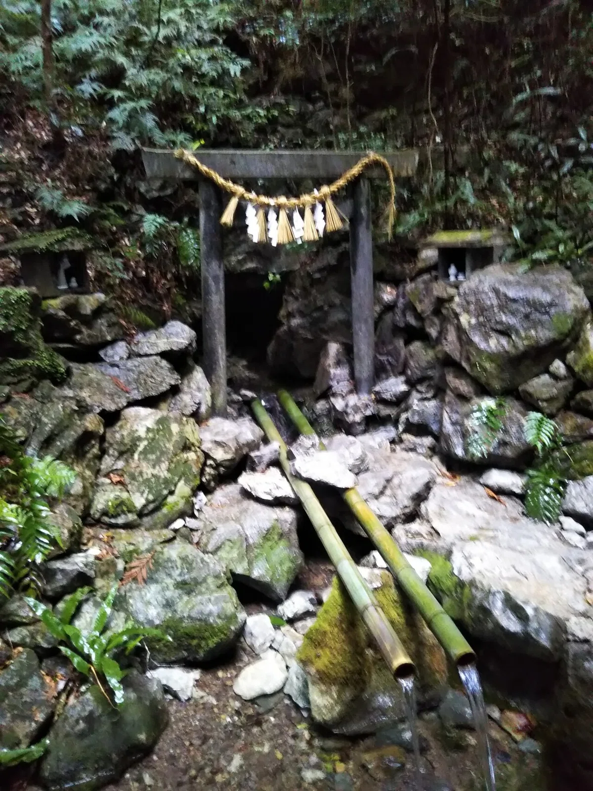 画像6