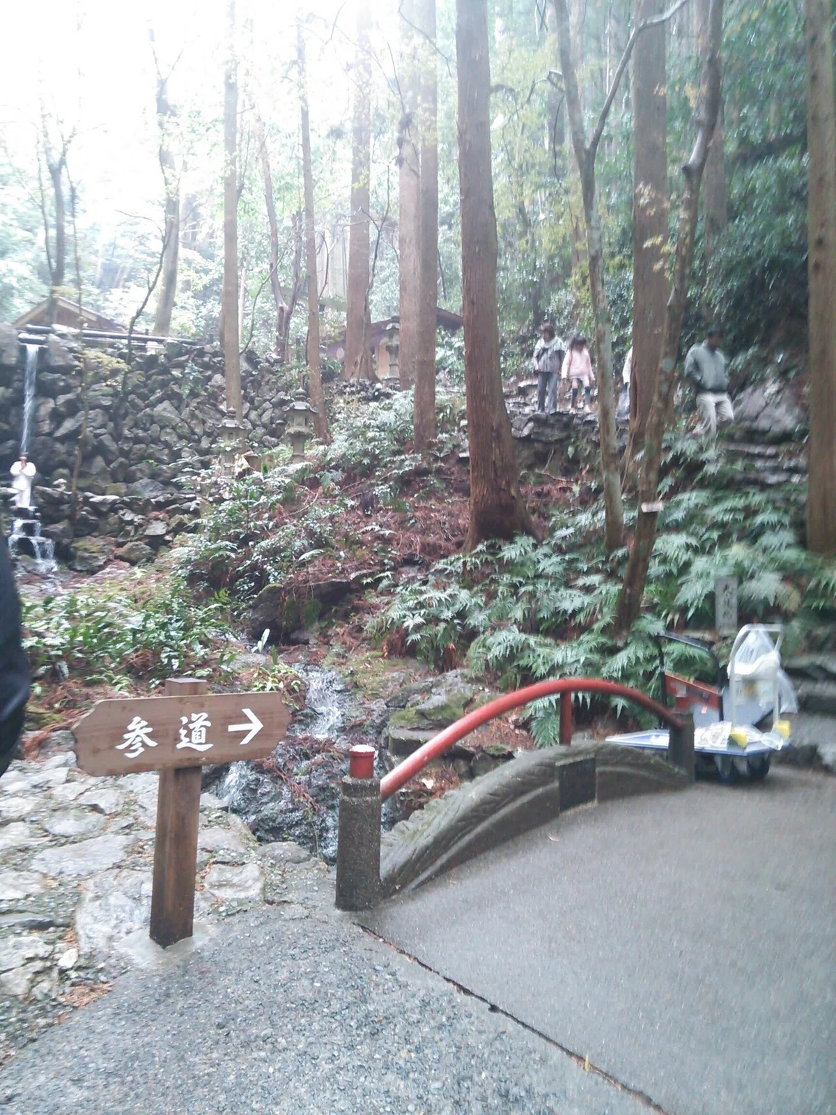 画像8