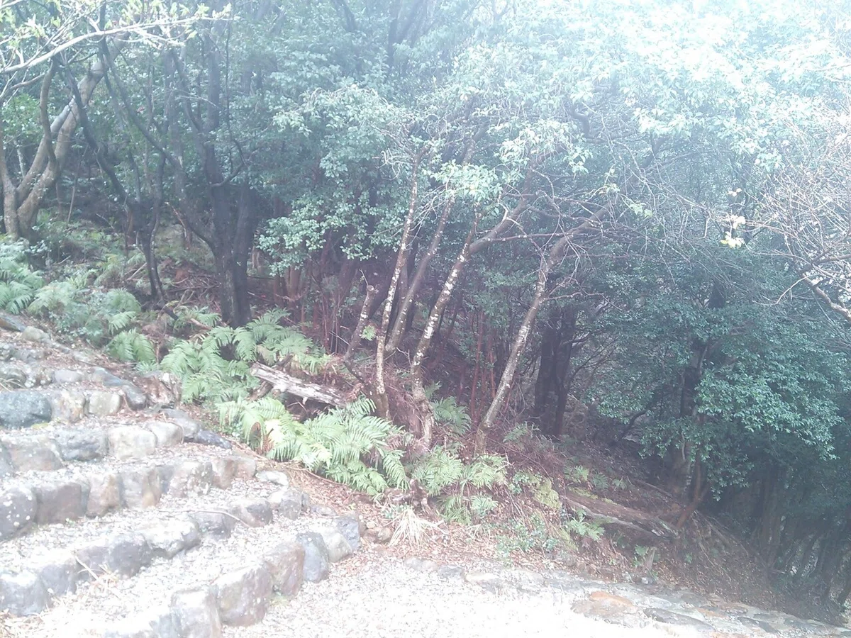 画像13