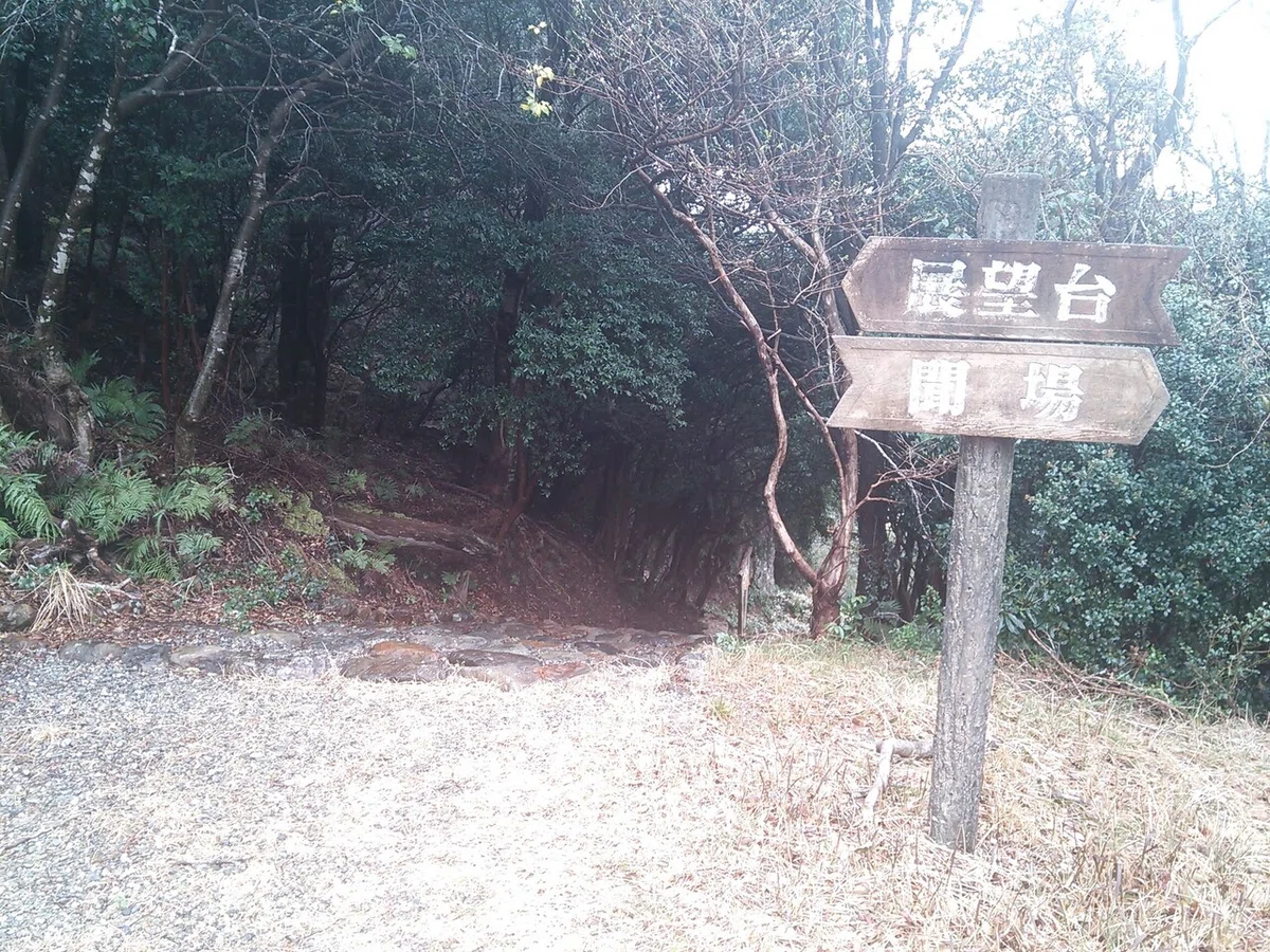 画像14