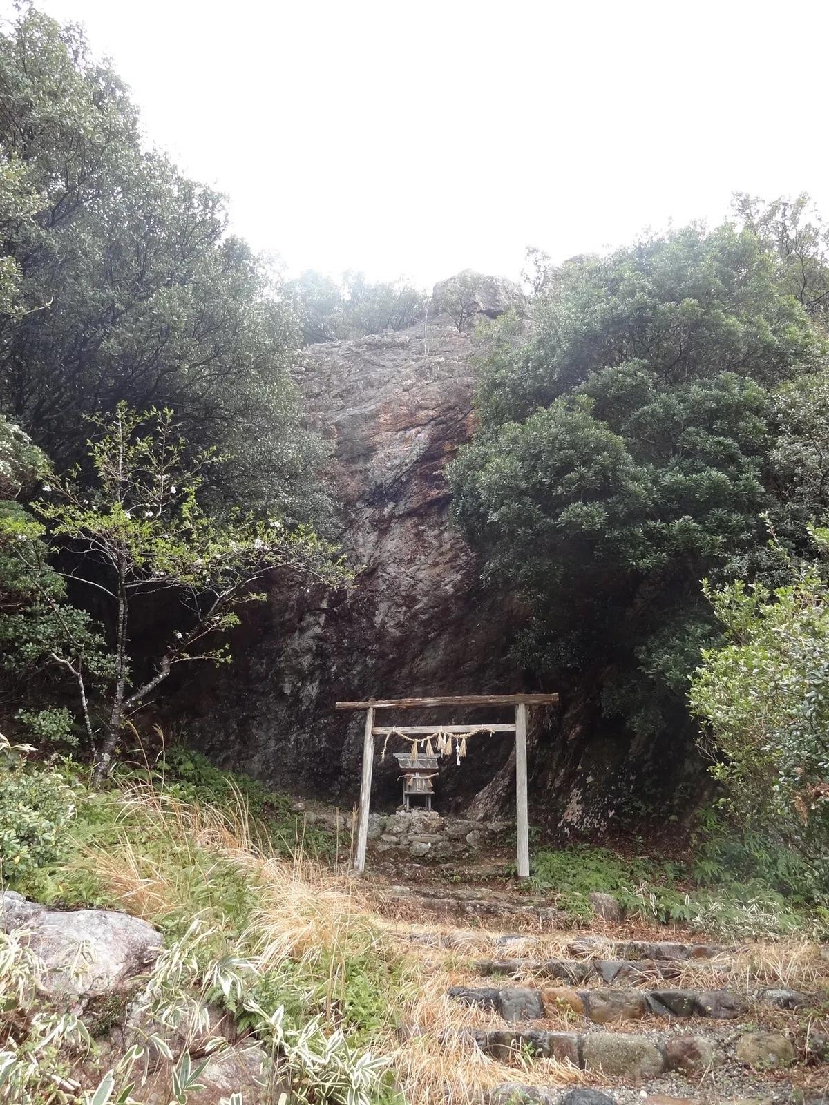 画像17