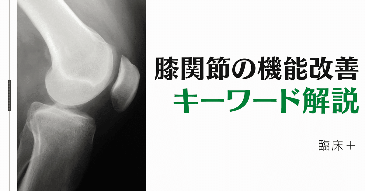 最安 読み方 膝関節機能改善のキーワードと評価・介入｜樋口 翔太 健康・医学