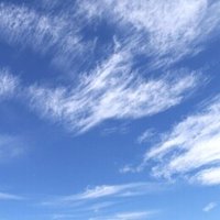 岡潔の名言 スミレはスミレのように Shun Note 岡潔の名言 スミレはスミレのように Shun Note