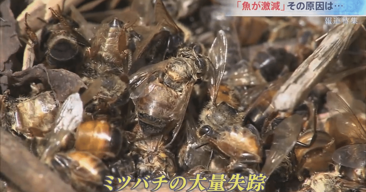 報道特集「ネオニコ系農薬 人への影響は」（11月6日OA）放送後記