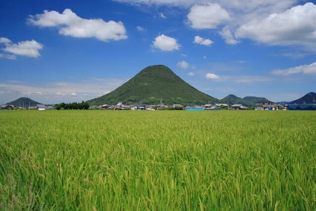 画像67