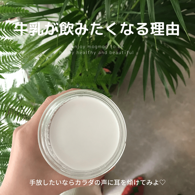 牛乳が飲みたくなる理由｜Yukako